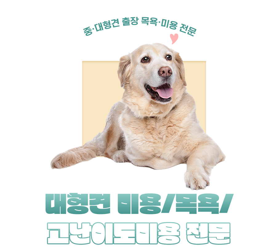 7cf8992a8eaf556a3d5dd3703bcf3ed9_1780378372_0522.png